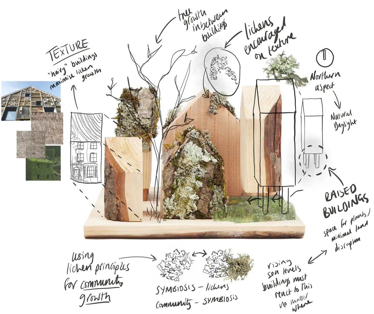 Lichen as bioindicators

Lichen Vs Carbon. These concept models look to document both the current state of Dudley Highstreet and the vision looking towards the future within this thesis project.

The lichen covered model looks towards a future in Dudley that is rich in texture, colour, nature and oxygen. Natural materials promote natural growth, and textures such as rough sawn timber and stone are the prefect hosts for lichen. All new buildings in Dudley would benefit massively from following a fabric first approach and adopt the use of sustainable and recycled building materials along with systems that use minimal energy.

The lichen model represents a vision for this thesis, buildings that are covered in natural materials and lichens that help sequester carbon and promote a healthier Highstreet. Suggestions of raised buildings also proposes less disruption to the ground and natural landscape, giving plants and animals the opportunity to thrive in an otherwise hostile concrete environment. Raised buildings also look towards a future planet with rising sea levels, future factors that will drastically affect the way we carry out daily lives and futureproofing all buildings for generations to come.

This second model uses the Shou Sugi Ban method of charring timber to waterproof it. In this case however it represents the embodied carbon and pollution within the highstreet as it exists now. The simplicity and repetition is also used to symbolise the plain nature of the highstreet with only a few materials exhibited, mainly brick & concrete. Once burnt the timber forms were brushed with wire wool to reveal the natural grain of the wood, a visual representation of degradation of layers of buildings that are built poorly or not constructed to last longer than a generation. - Michelle Gartside Model 10.png